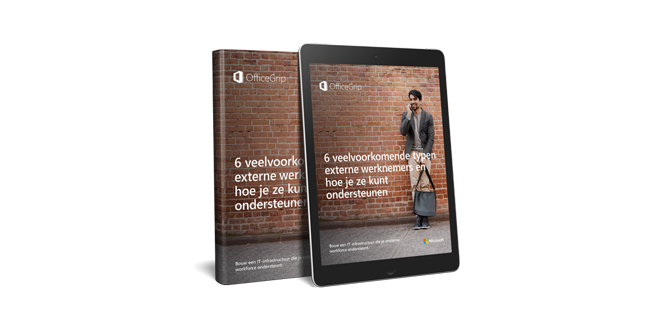 6-veelvoorkomende-typen-externe-werknemers-3